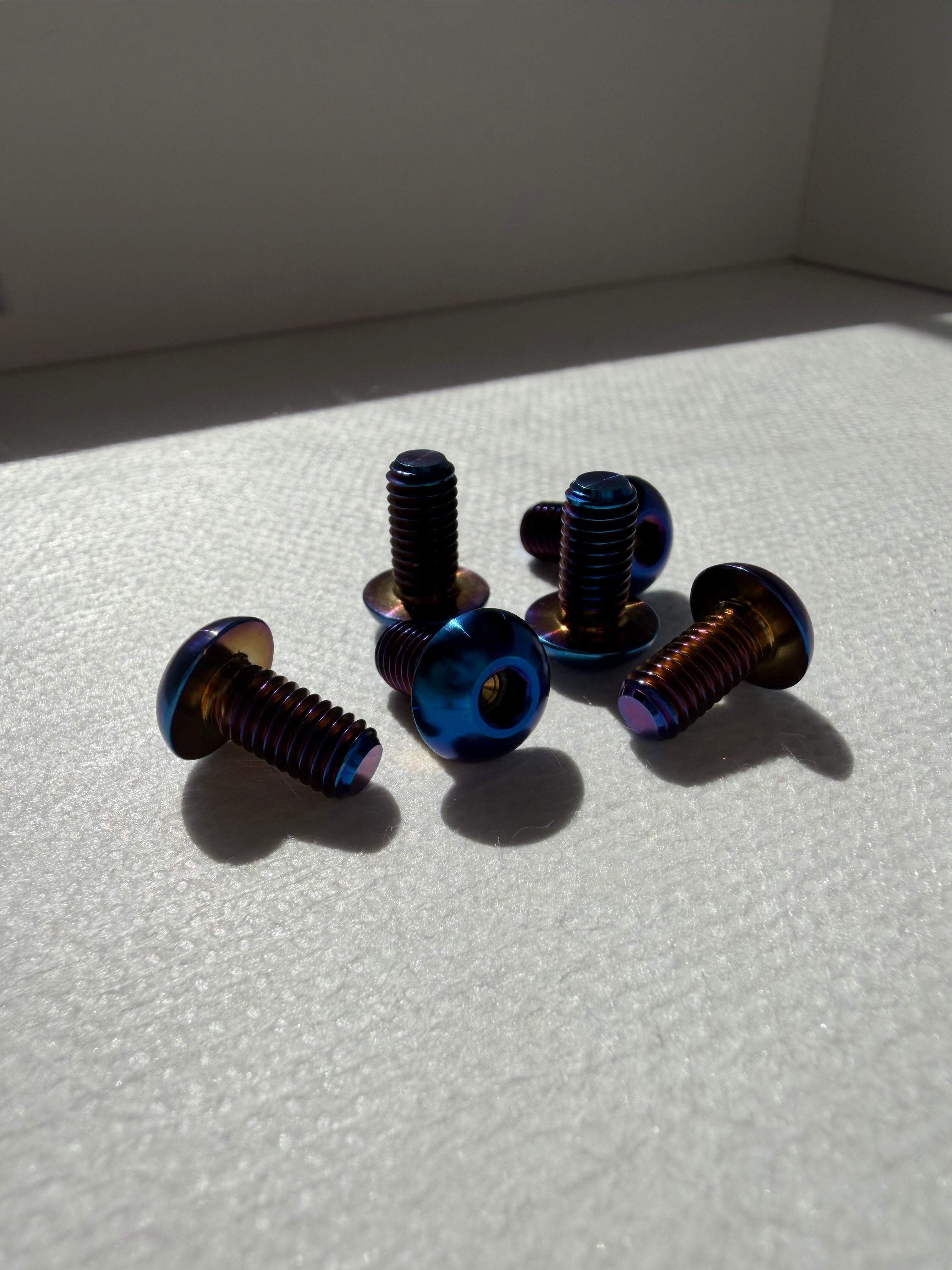 Titanium Fork Guard Bolts